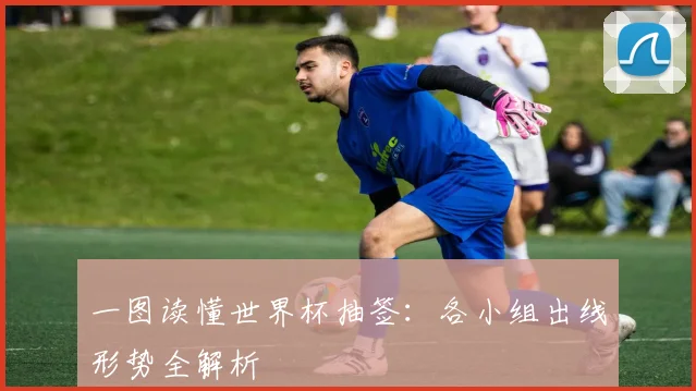 一图读懂世界杯抽签：各小组出线形势全解析