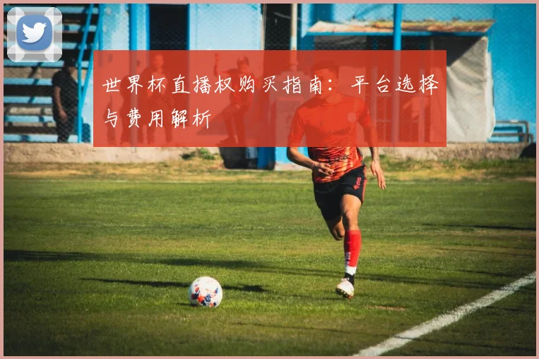 世界杯直播权购买指南:平台选择与费用解析