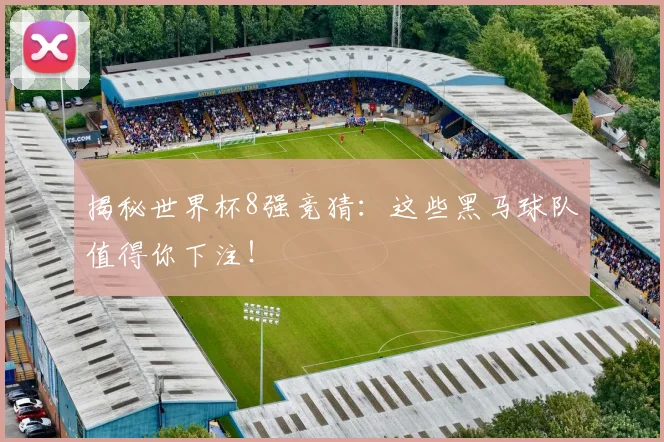 揭秘世界杯8强竞猜：这些黑马球队值得你下注！