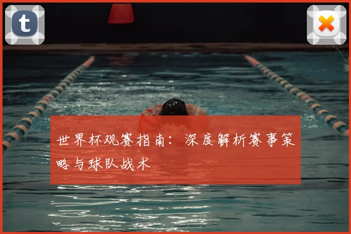 世界杯观赛指南：深度解析赛事策略与球队战术