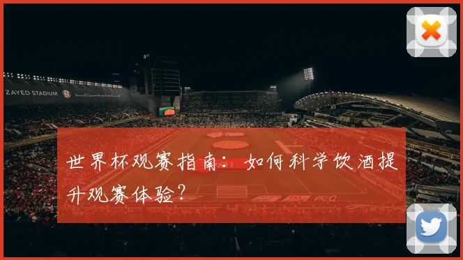 世界杯观赛指南：如何科学饮酒提升观赛体验？