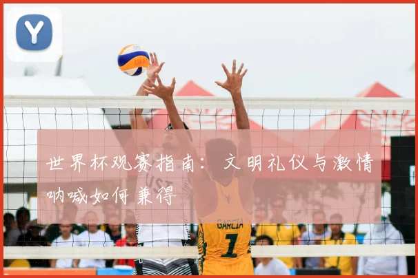 世界杯观赛指南：文明礼仪与激情呐喊如何兼得