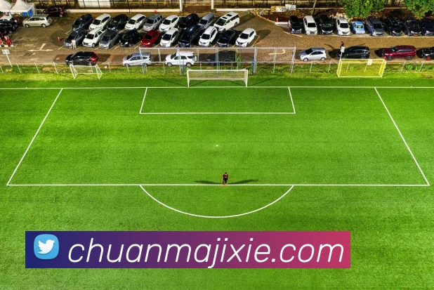 开云手机在线官网登录APP 封面图